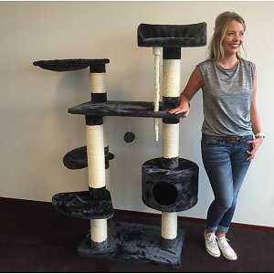 arbre a chat robuste